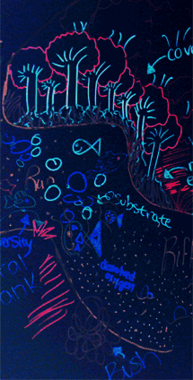 leftimage