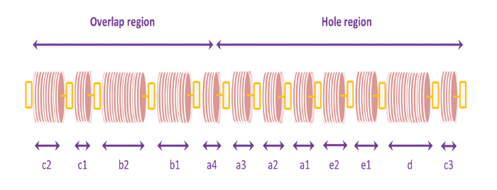 Illustration of ight and dark bands across the axis of the fibril.