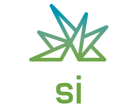 Summer Institute logo