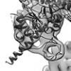 Myosin motors walk on filamentous actin tracks in a computer-generated visualization of molecular motors