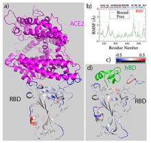 COVID-19 Drug Research