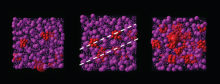 Simulation of colloidal suspensions