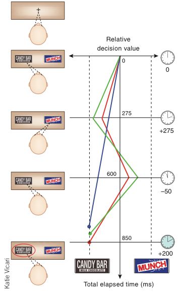 Visual Attention and decision making