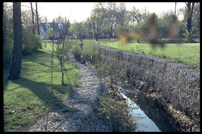 Urban streams are often straightened in channelized