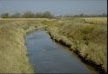 Grassed swale