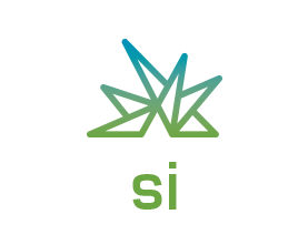Summer Institute Logo