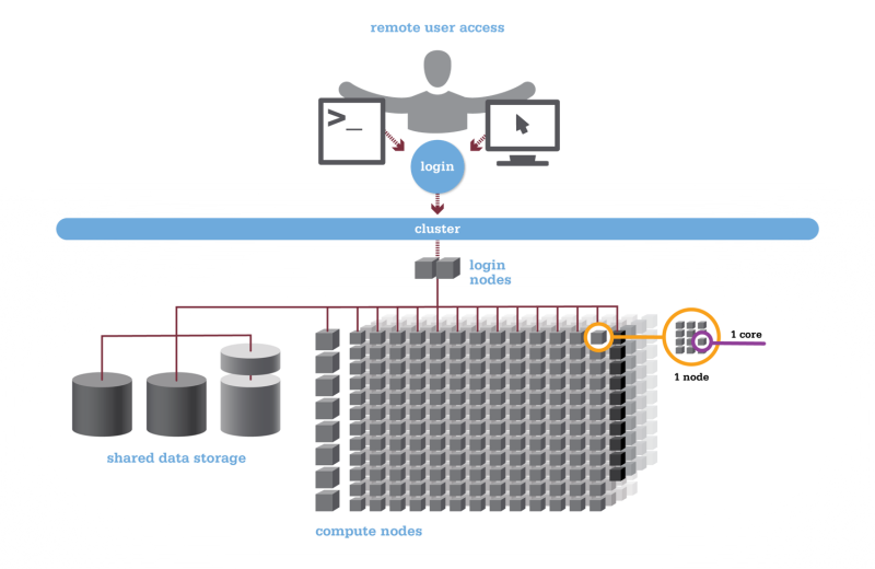 Diagram: Several connected parts illustrating the layout of an OSC cluster. Users connect to one of a few &quot;login nodes&quot;, which in turn connect to the &quot;batch system&quot;, which runs jobs on a subset of the &quot;compute nodes&quot;. The &quot;shared filesystem&quot; is connected to both the login nodes and the compute nodes.