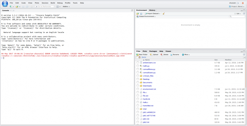 Image of an active RStudio session